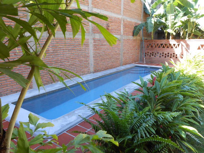 garden swimming pool